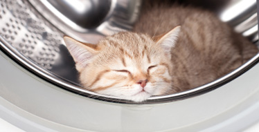 Comprueba antes de cerrar la puerta